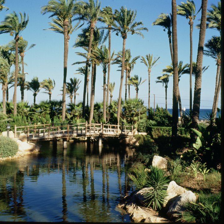 Lugar Parque el palmeral