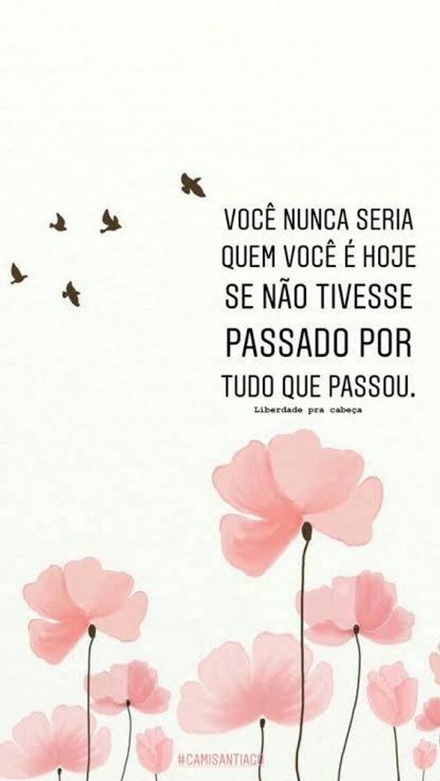 Fashion Frases motivacionais