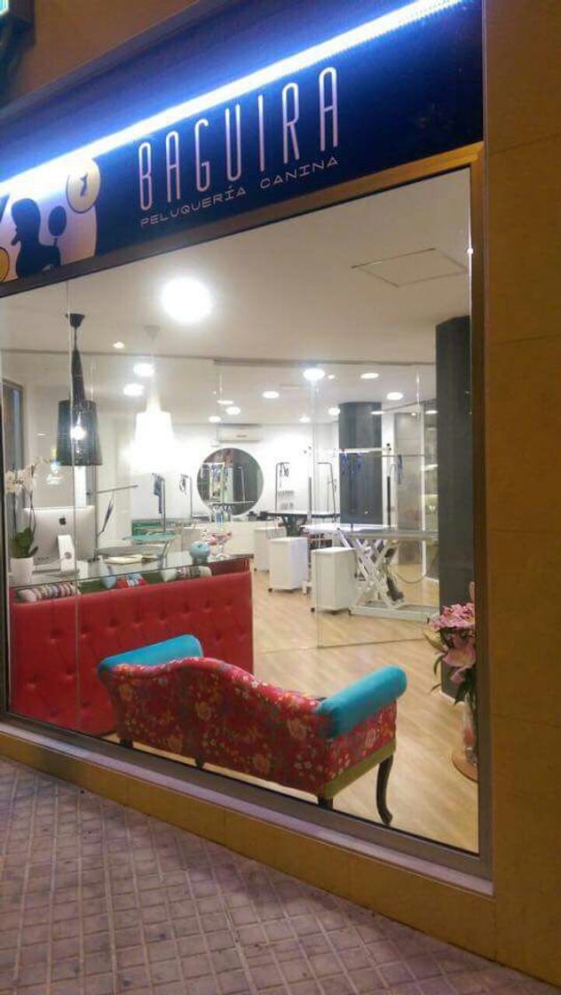 Place Peluqueria Canina Baguira