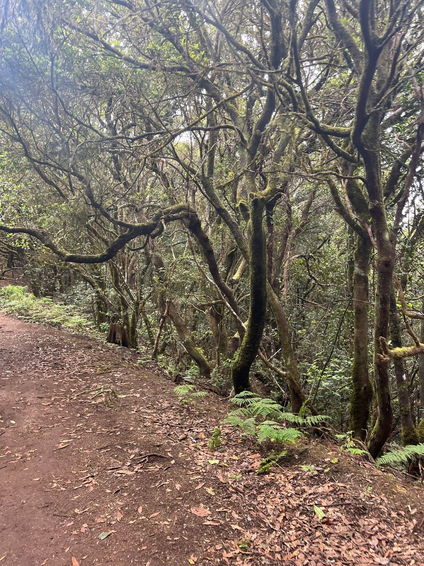 Lugar Sendero Parque Rural Anaga