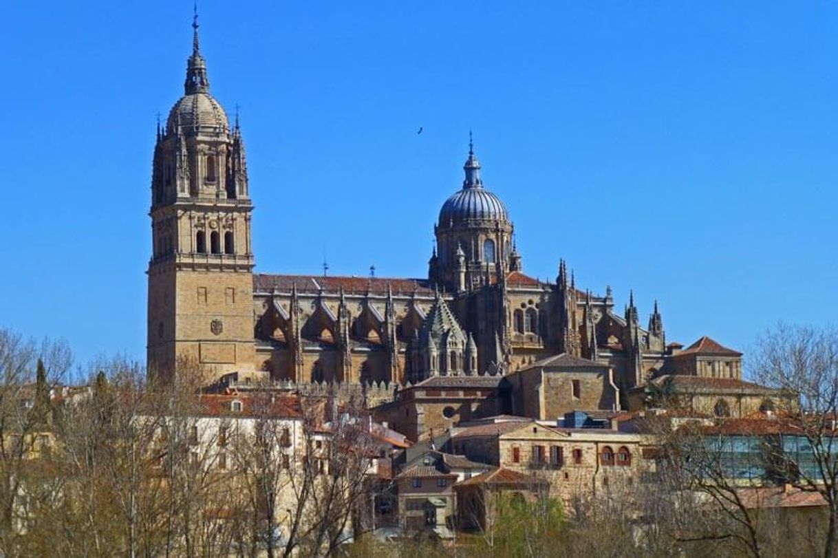 Lugar Catedral de Salamanca