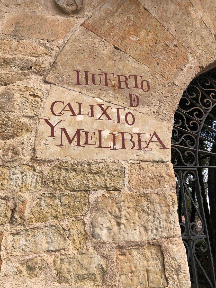 Lugar Huerto de Calixto y Melibea