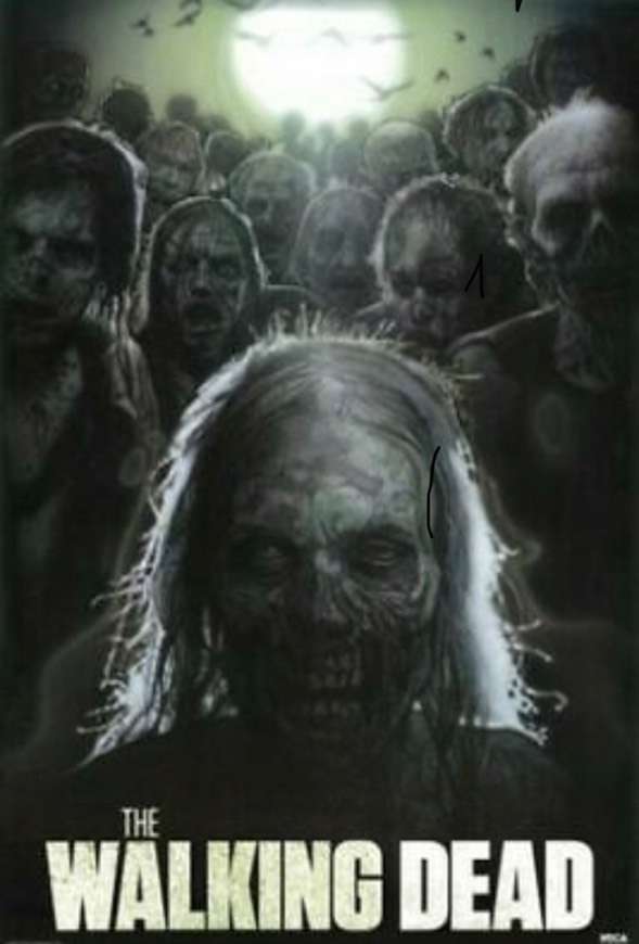 Serie The Walking Dead