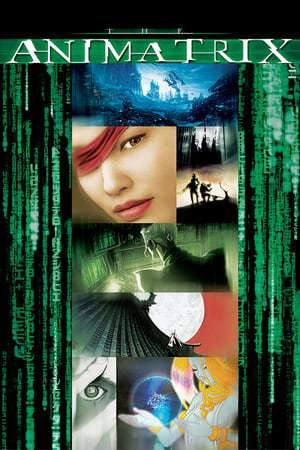 Movie Animatrix