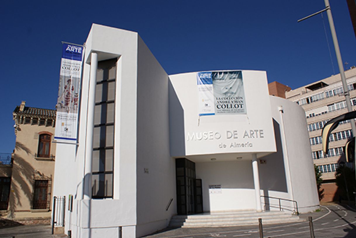 Lugares Museo de Arte de Almería Espacio2