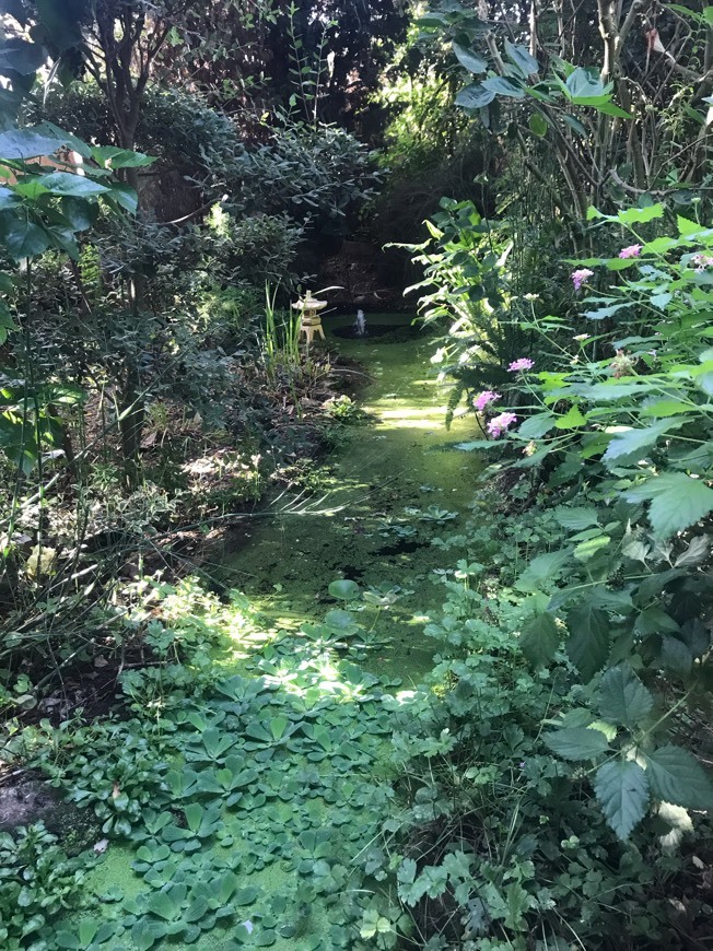 Place Jardín Botánico La Almunya del Sur