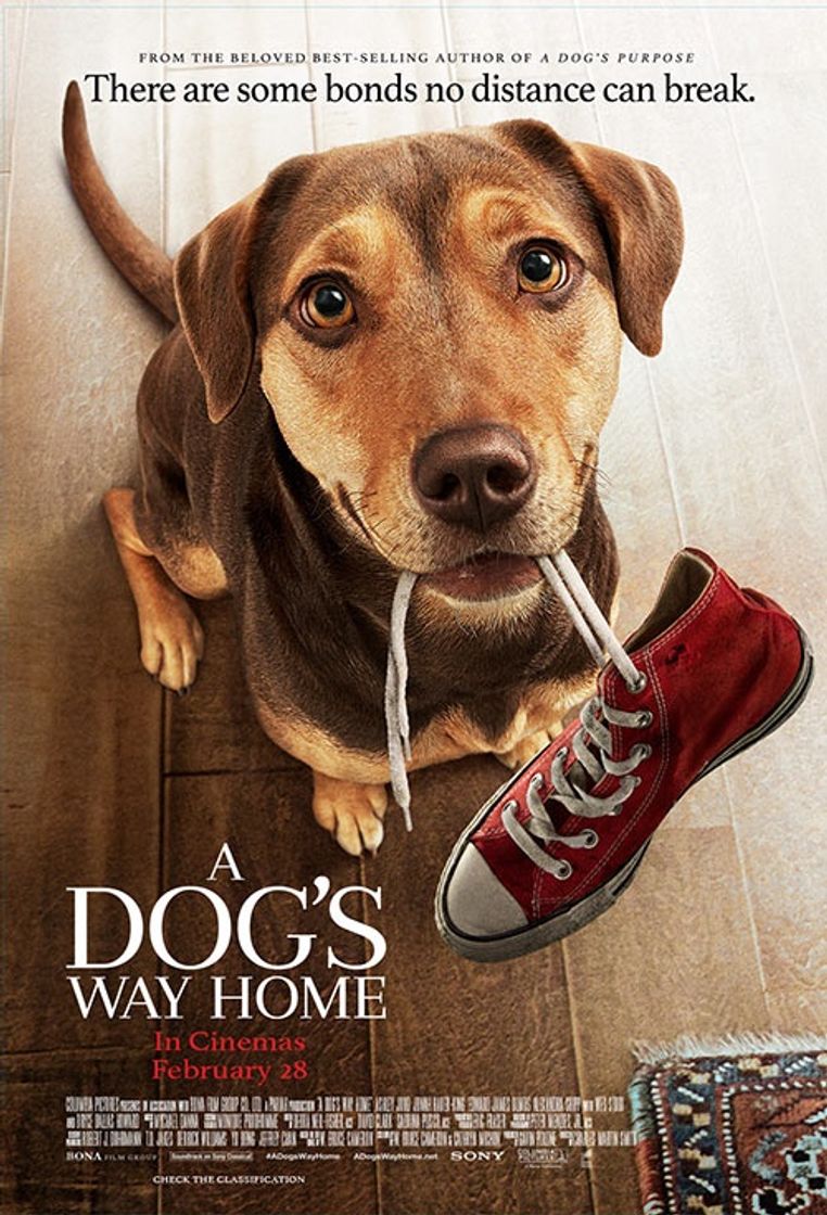 Movies A Dog's way home