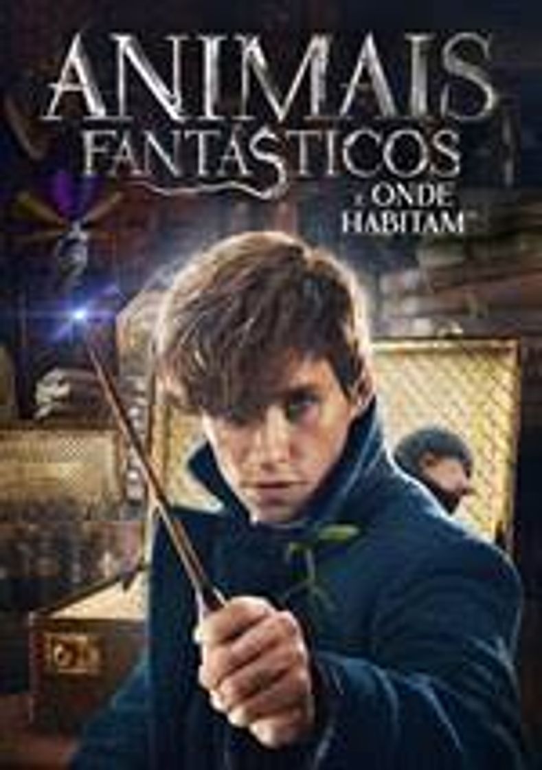 Movies Animais Fantásticos e Onde Habitam