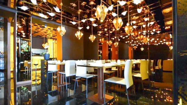 Restaurantes Sushi Kòbbo