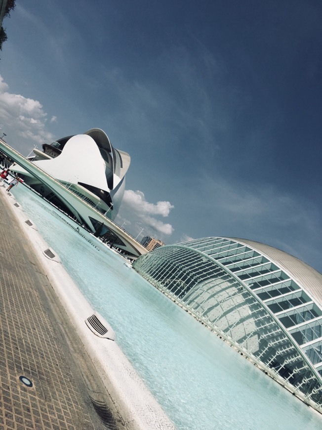 Place Ciudad de las Artes y las Ciencias