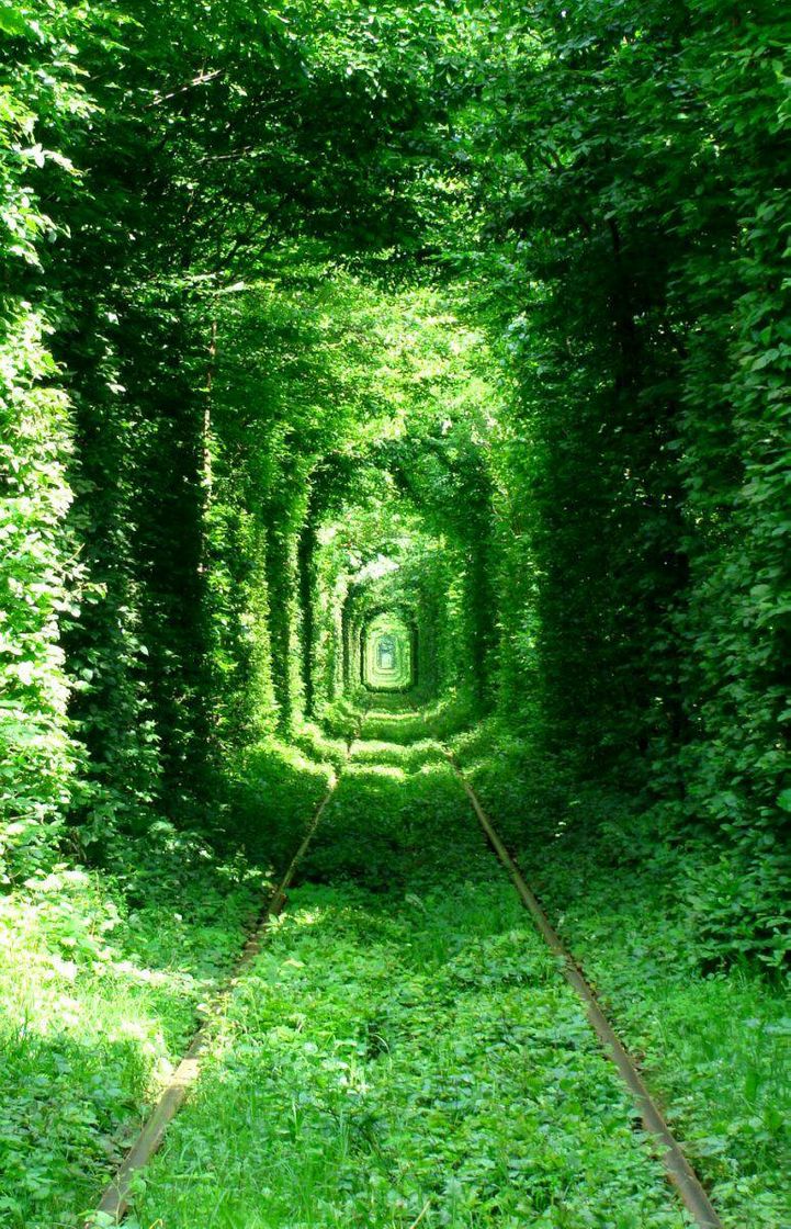 Place Tunnel of Love