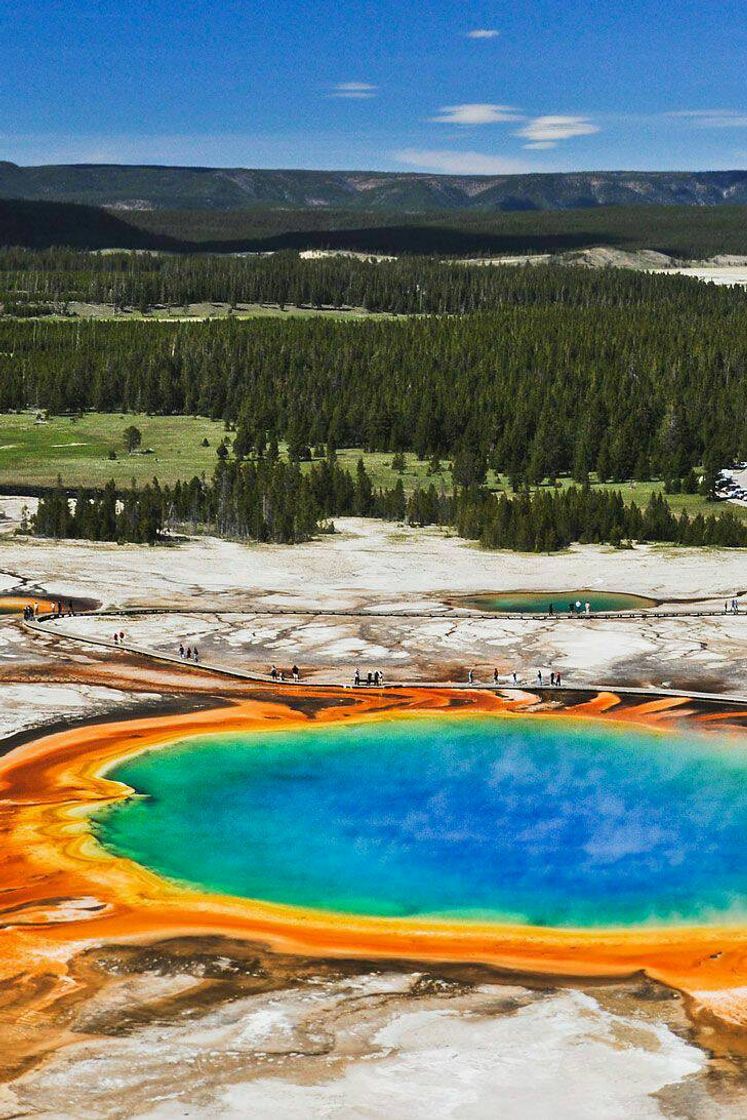 Place Parque Nacional Yellowstone