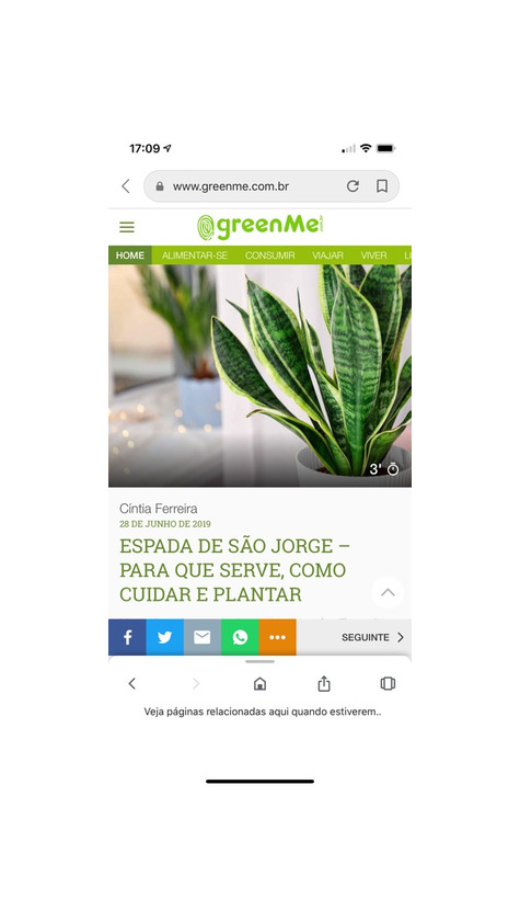 Productos Planta de São Jorge 🧿 proteção 