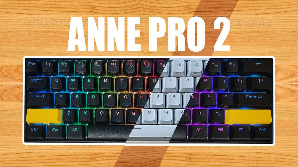 Moda Anne Pro 2 