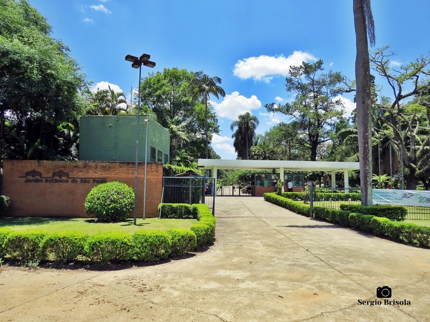 Place Jardim Botânico