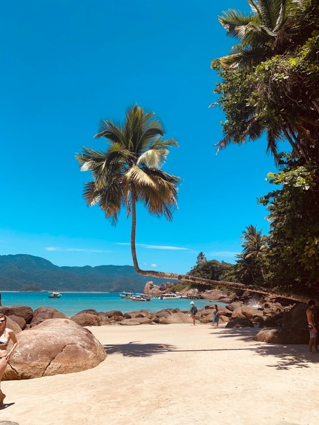Place Praia do Aventureiro