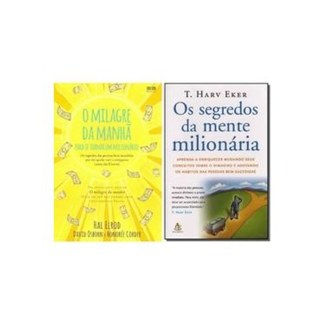 Libro Fábrica de Milionários: Bolsa de Valores para Leigos: Volume 2