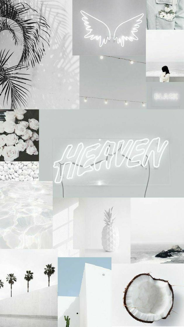 Fashion Wallpaper branco 