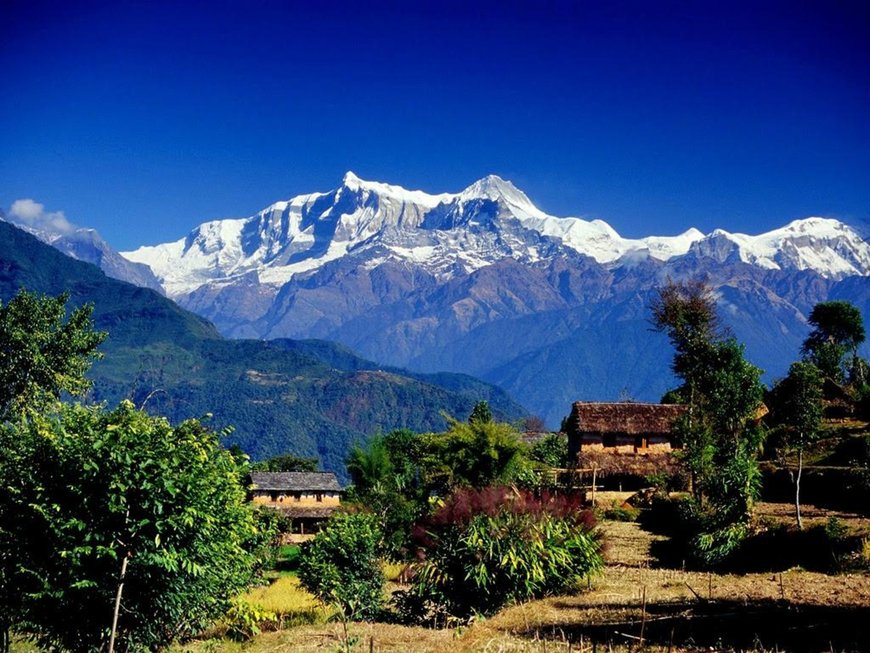 Kangra