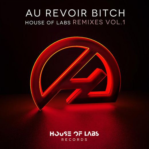 Au Revoir Bitch - Enrico Meloni Remix