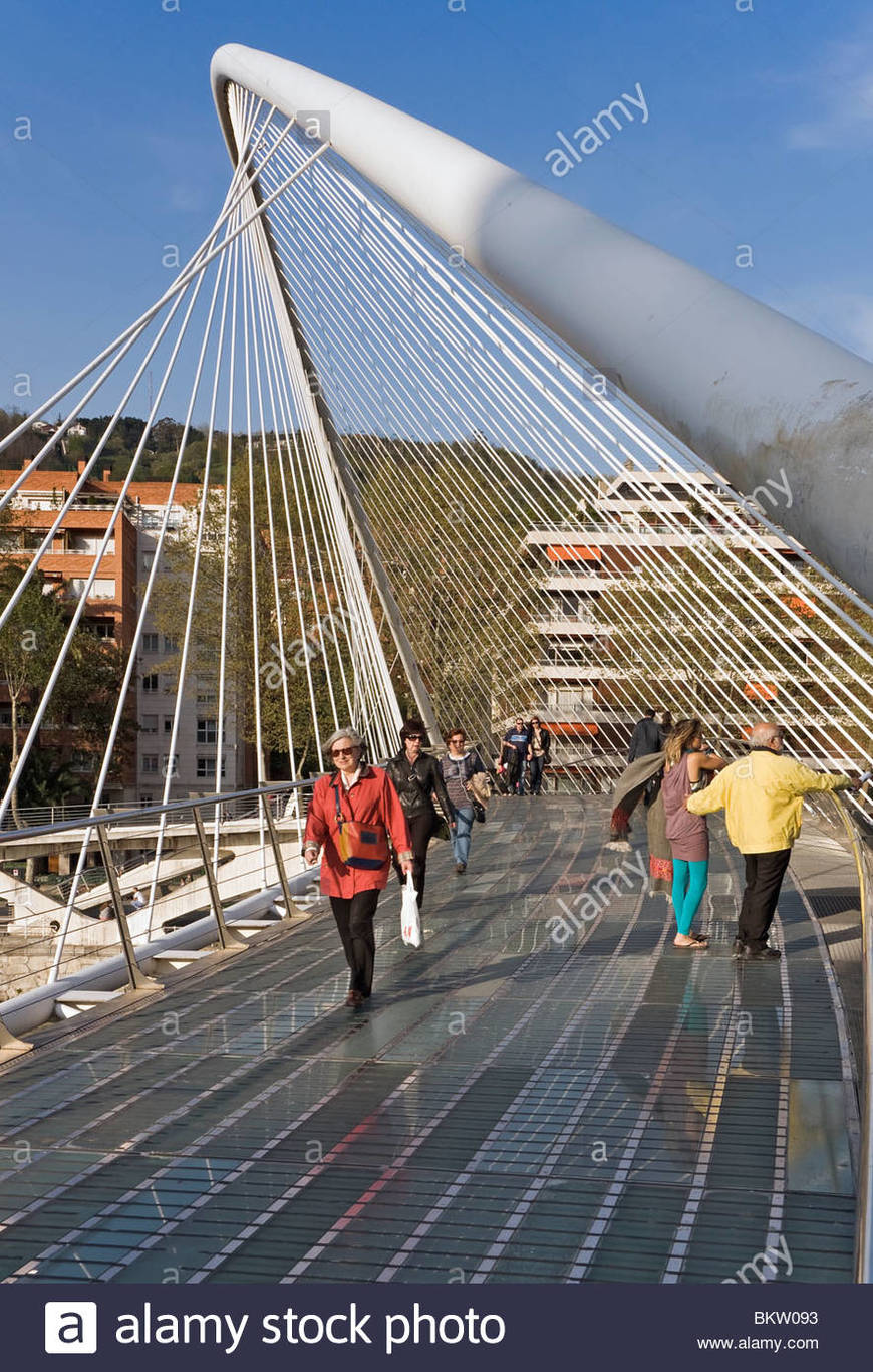 Lugares Puente de Calatrava