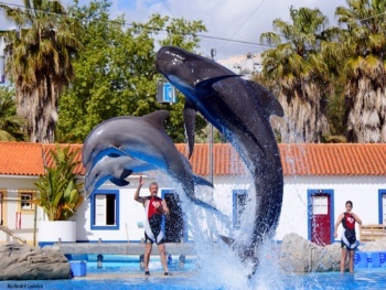 Place Zoo portugal