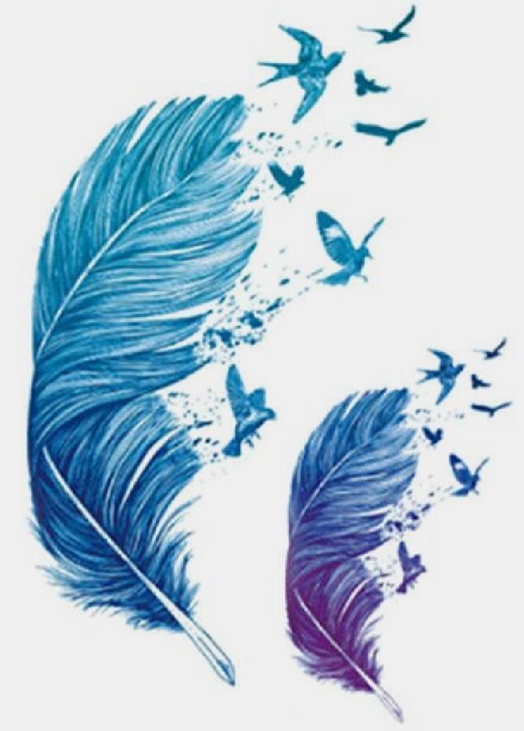Social Feather 