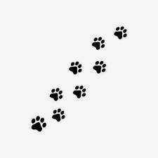 Social Cat Paw
