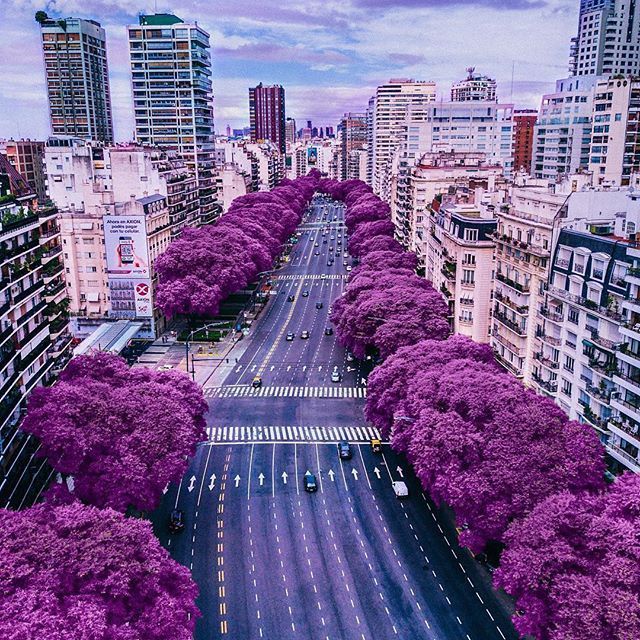 Lugar Buenos Aires