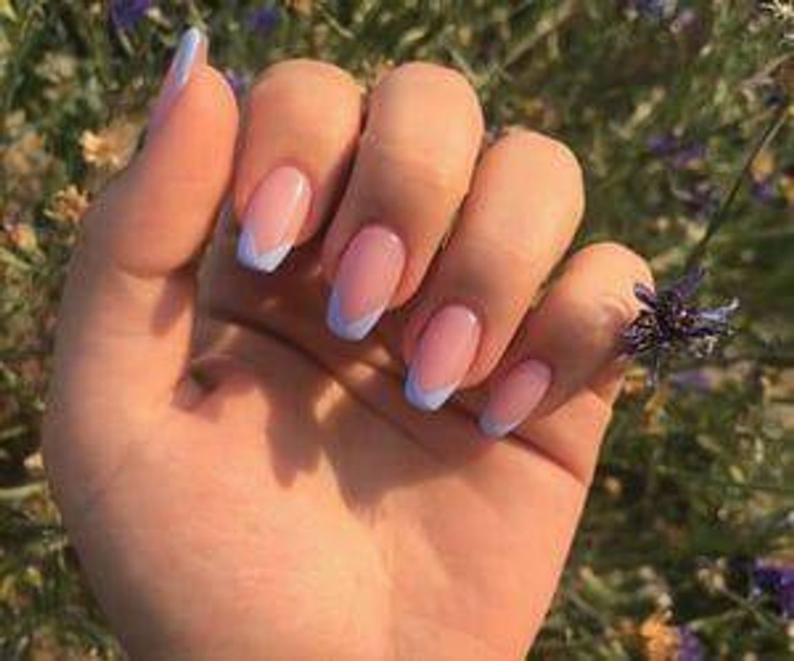 🦋🦩