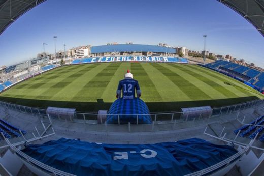 Estadio Fernando Torres