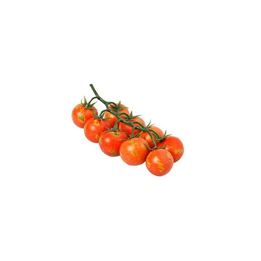 Catral 72020044 Tomate Rama