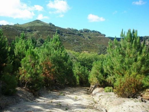 Tapada Nacional de Mafra