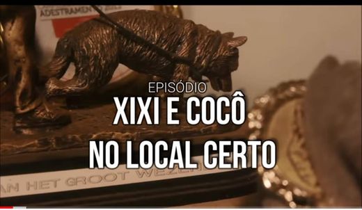 Xixi e cocó  no lugar certo🐶