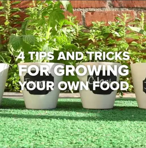 4 tips and tricks🥑🌱