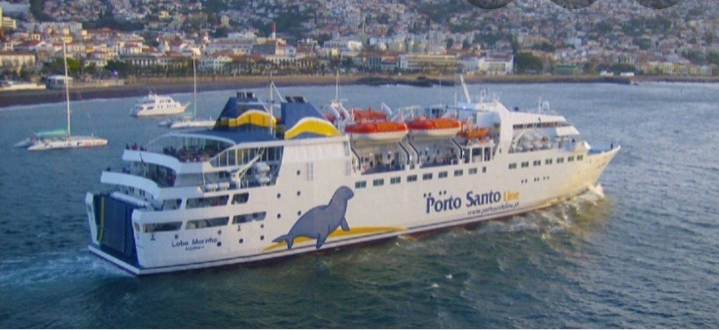 Moda Navio Lobo marinho 🛳