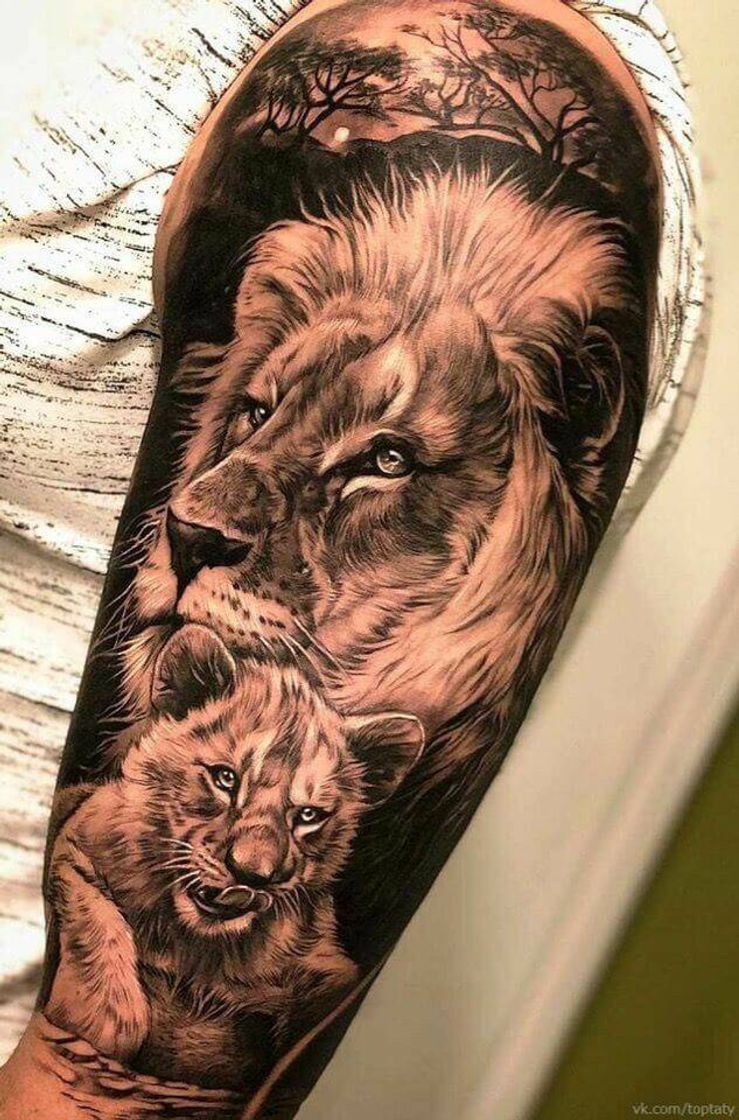 Moda Leão 🦁