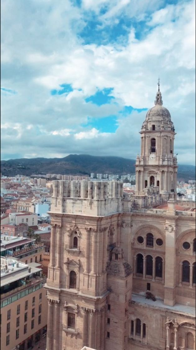 Lugar Hotel Málaga Palacio