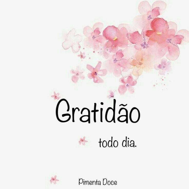 Social Gratidão🌿