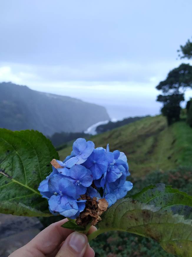 Place São Miguel Island