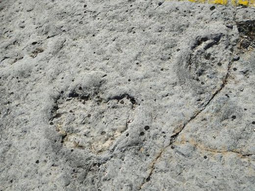 Pegadas dos Dinossáurios na Serra de Aire

