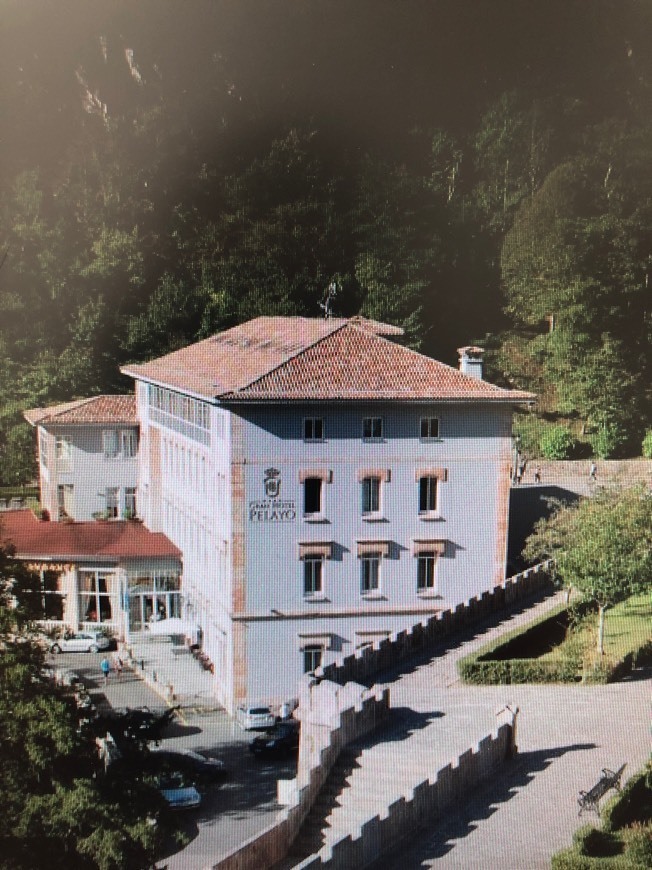 Place Arcea Gran Hotel Pelayo