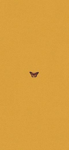 Wallpaper Yellow Aesthetic Butterfly 