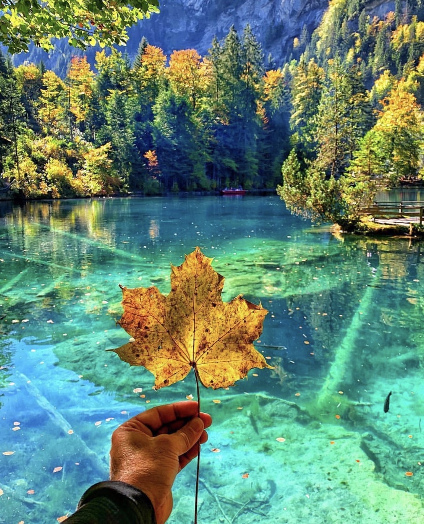 Place Blausee