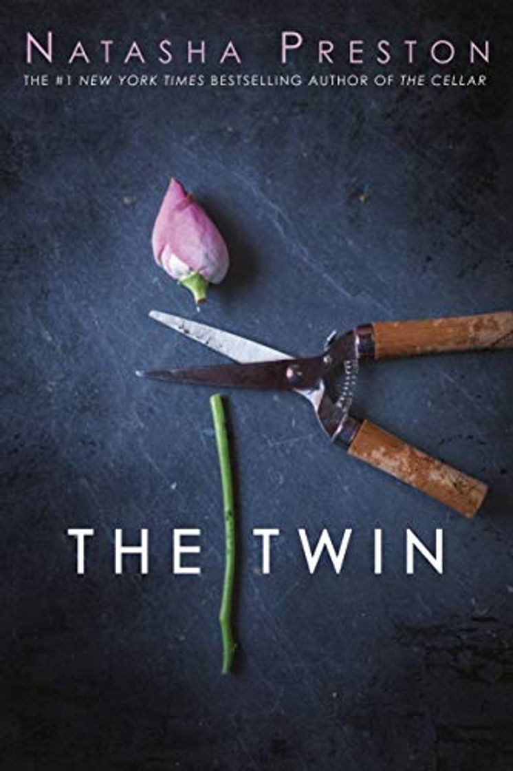 Book The Twin