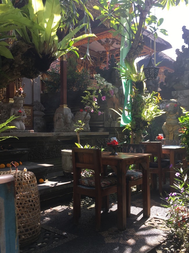 Place D,ubud house