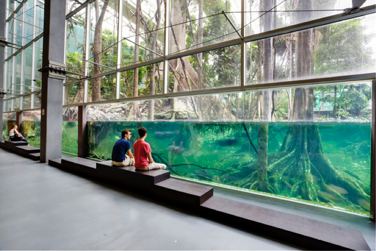 Lugar CosmoCaixa Barcelona