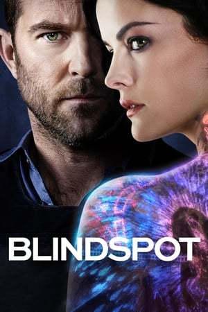 Blindspot