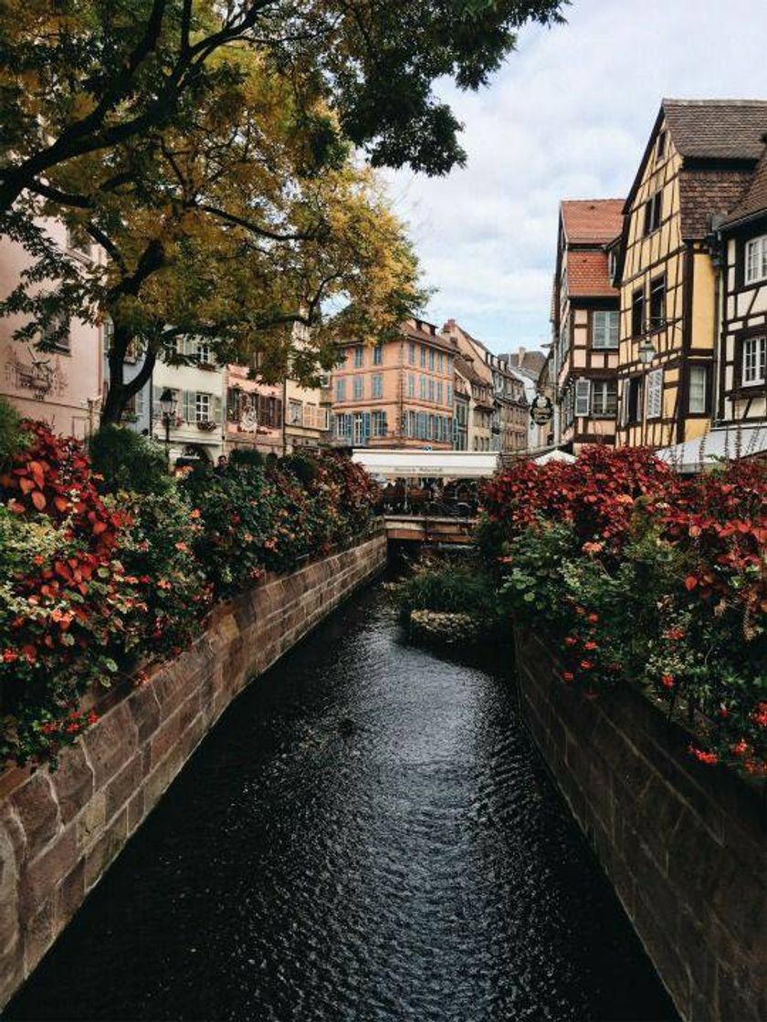 Lugar Colmar