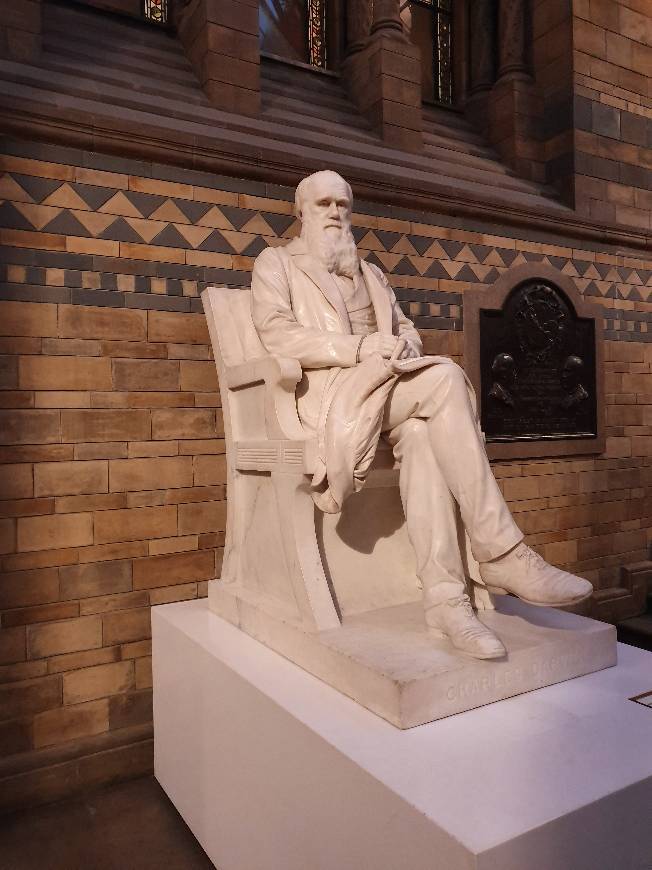 Place Natural History Museum